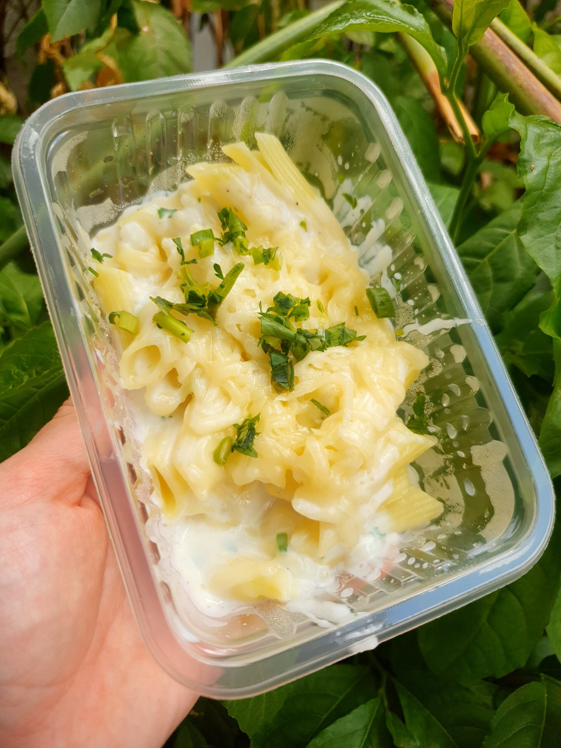 Marmita Penne mollho Branco