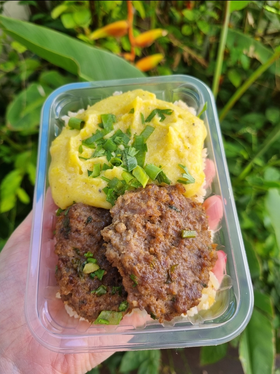 Marmita Hambúrguer com Purê de Batata