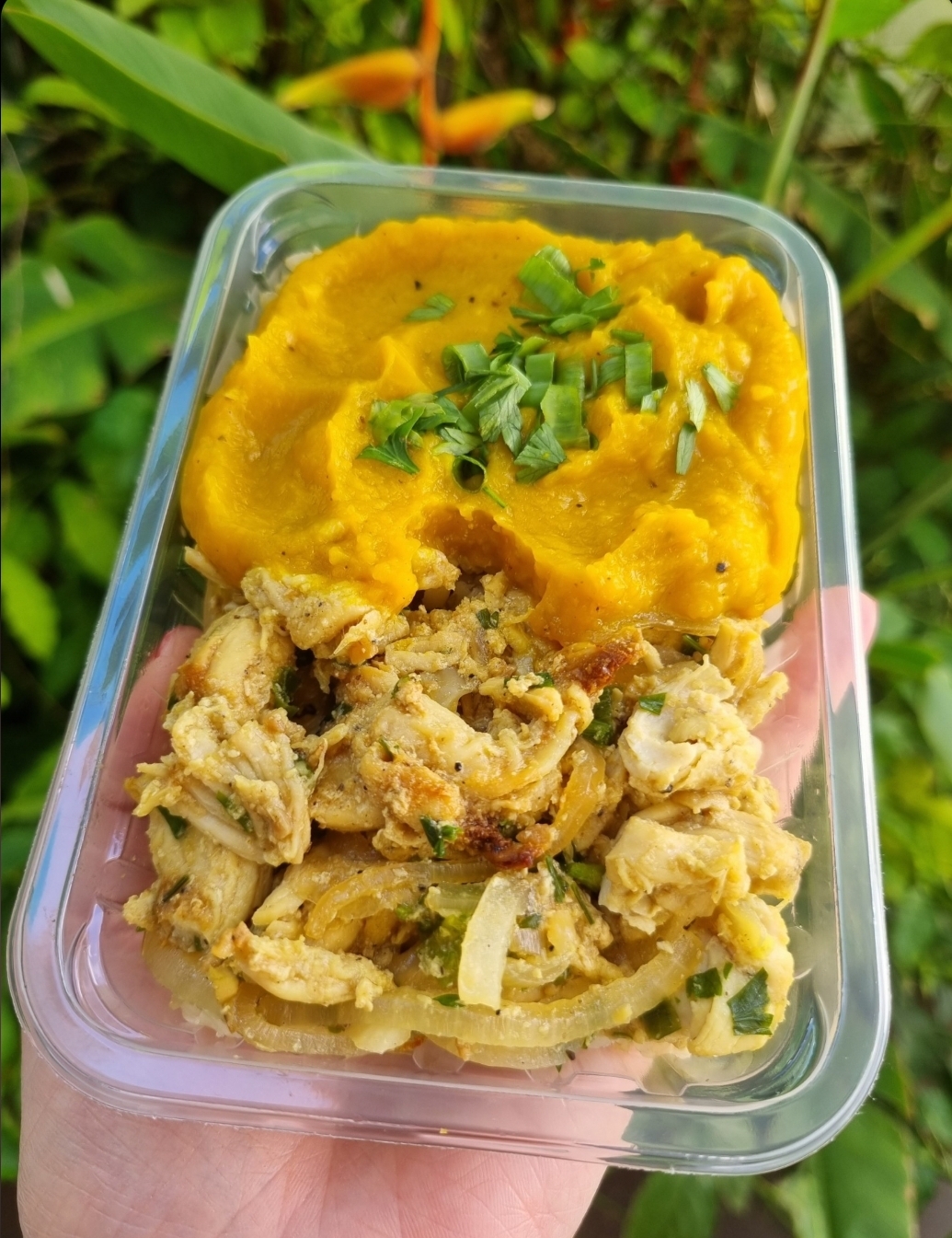 Marmita Isca de Frango