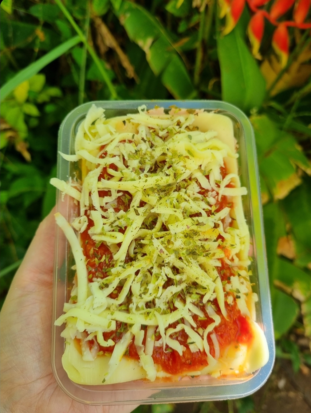 Marmita Lasanha Lowcarb